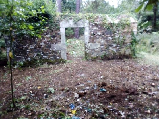 Limpeza do lixo no antigo cemiterio civil de Cortiño