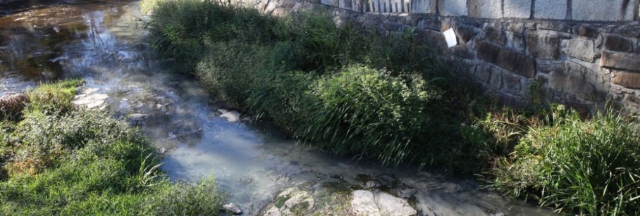 río Anllóns contaminado Carballo